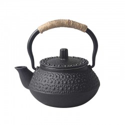 Small Turtle Cast Iron Teapot 300ml/10.0oz