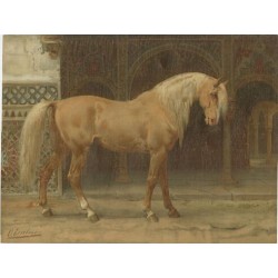 Antique Oleograph of the Andalusian Horse