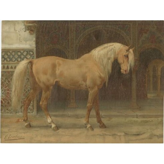 Antique Oleograph of the Andalusian Horse