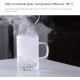 450ml Infuser Glass Tea Cup