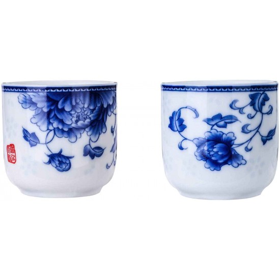 Blue and White Porcelain Tea Set for Kungfu