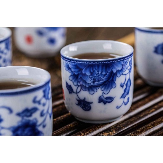 Blue and White Porcelain Tea Set for Kungfu