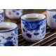 Blue and White Porcelain Tea Set for Kungfu