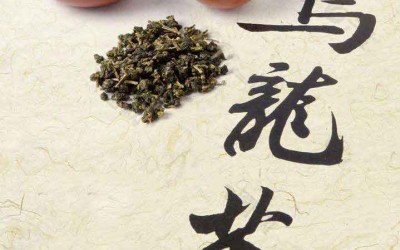 The Origin and Types of Oolong Tea