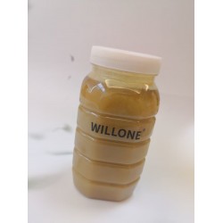 WILLONE Organic Honey for Sale