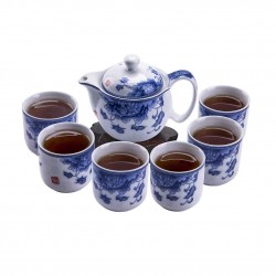 Blue and White Porcelain Tea Set for Kungfu