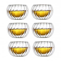 Clear Double Walled Glass Cups Set of 6 