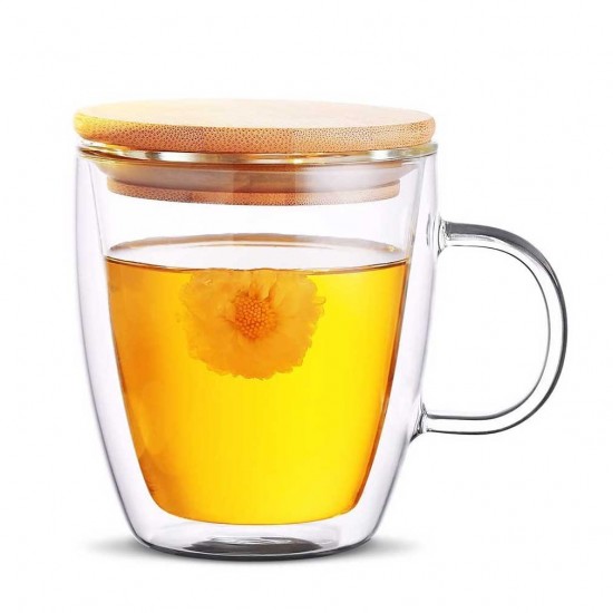 Double Walled Glass Cup with Lid