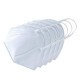 Resuable White N95 Mouth Mask 5Pcs