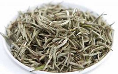 Health Benefits of White Tea