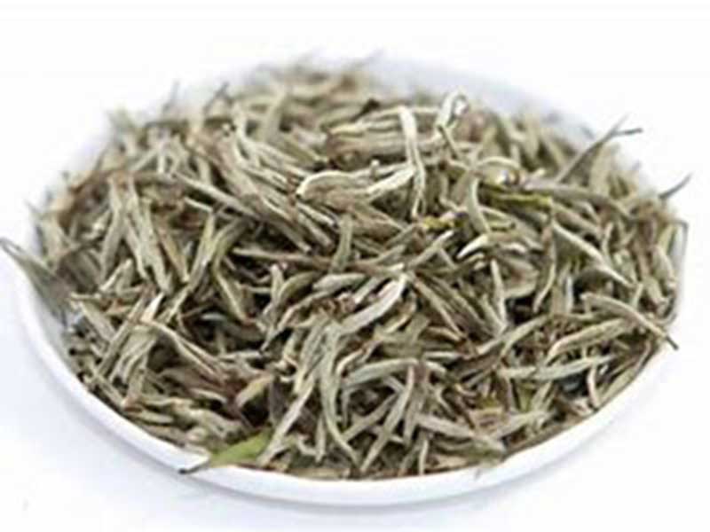 Health Benefits of White Tea