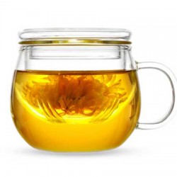Heat Resistant Glass Tea Cup 350ml/12.0oz