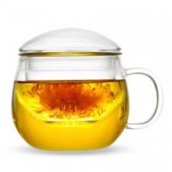 Heat Resistant Glass Tea Cup 300ml/10.0oz