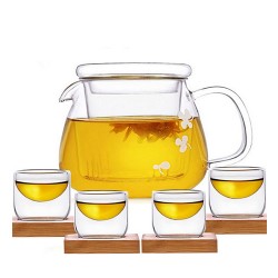 Heat Resistant Glass Teapot Set with 4 Cup