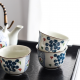 Japanese teapot Set With 5 Cups