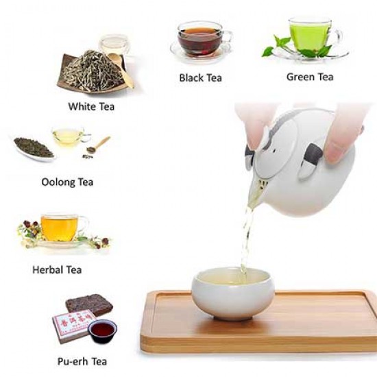 Hwagui- White Travel Portable Ceramic Tea Set