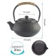 Black Coin Cast Iron Teapot 600ml/20oz