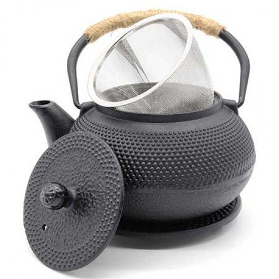 Iron Teapot Panpukin 800 ml with Filter – MasterTea Factory, LLC