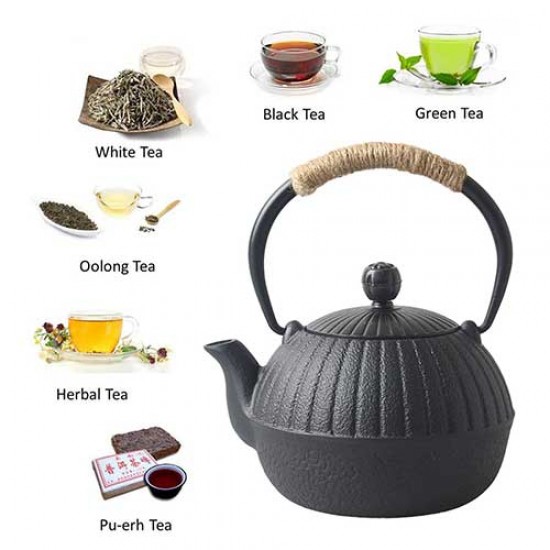 Pumpkin Cast Iron Teapot 500ml/17.0oz