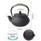 Small Turtle Cast Iron Teapot 300ml/10.0oz