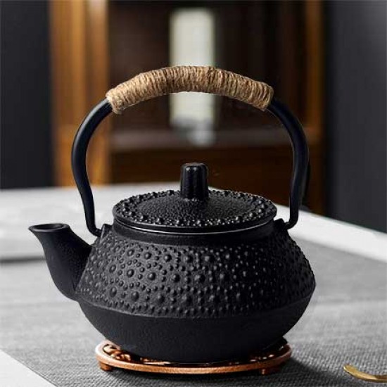 Small Turtle Cast Iron Teapot 300ml/10.0oz