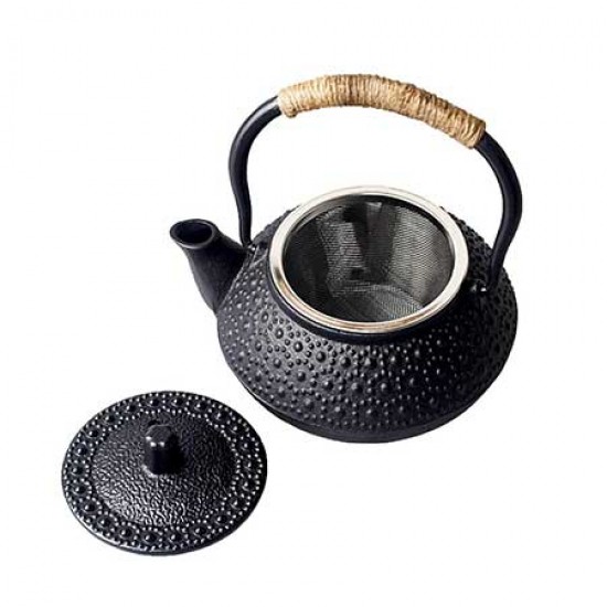 Small Turtle Cast Iron Teapot 300ml/10.0oz