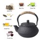 Small Turtle Cast Iron Teapot 300ml/10.0oz