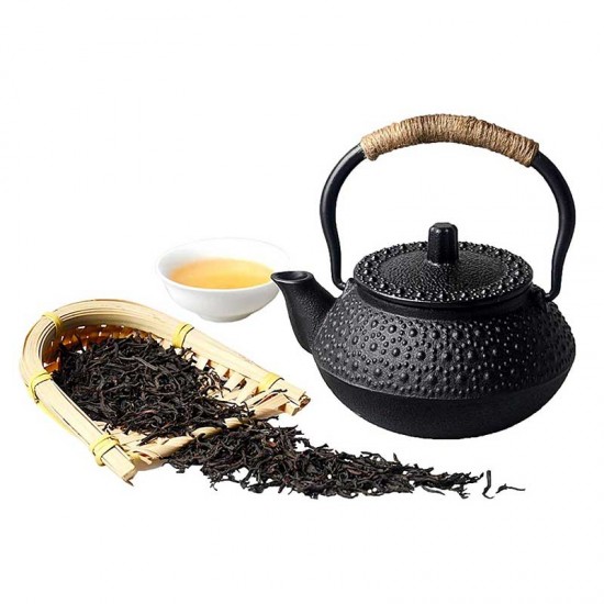 Small Turtle Cast Iron Teapot 300ml/10.0oz