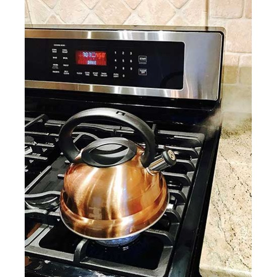 Brown Stainless Steel Whistle Tea Kettle