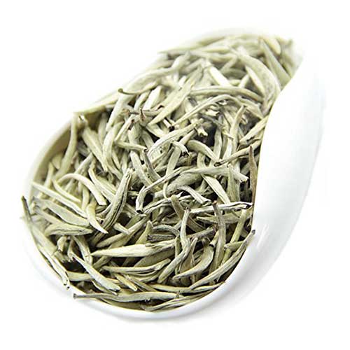 Silver Needle White Tea